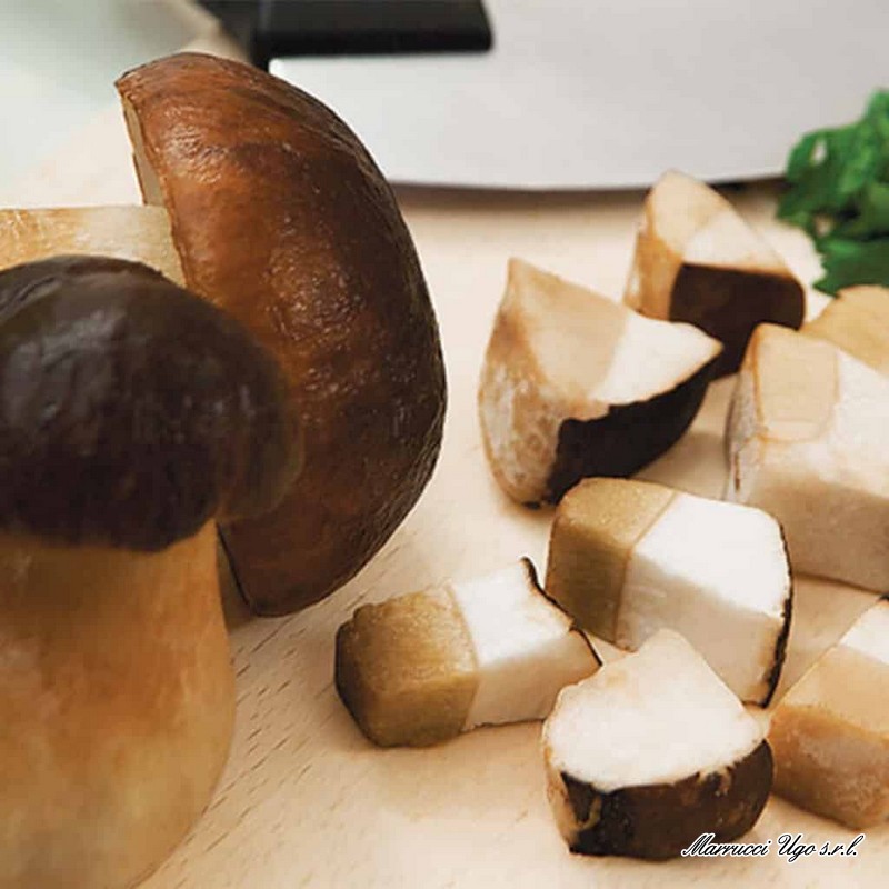 I Funghi Porcini Scongelati Fanno Male