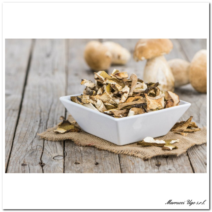 FUNGHI PORCINI SECCHI BRICIOLA GR 500 Marrucci