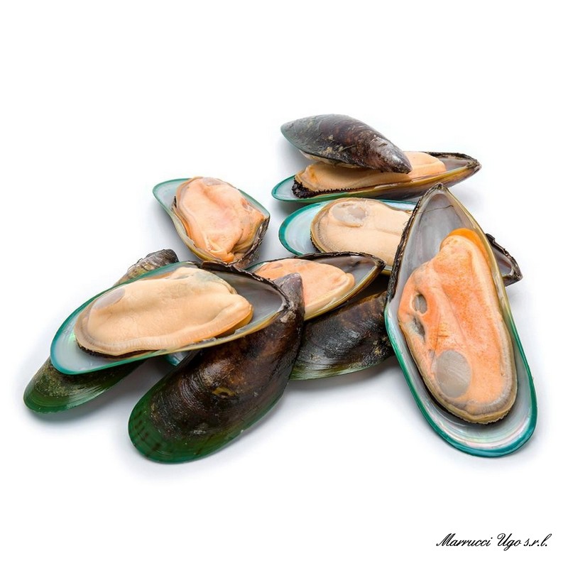 COZZE CILENE 1/2 GUSCIO CONG. 60/80